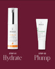 IMAGE THE HYDRATE & PLUMP DUO