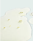 IMAGE SKINCARE Vital C Hydrating Face Oil